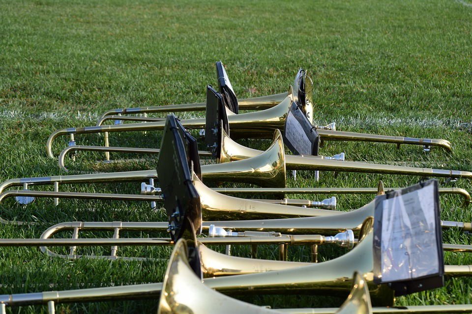 Trumpets on grass
